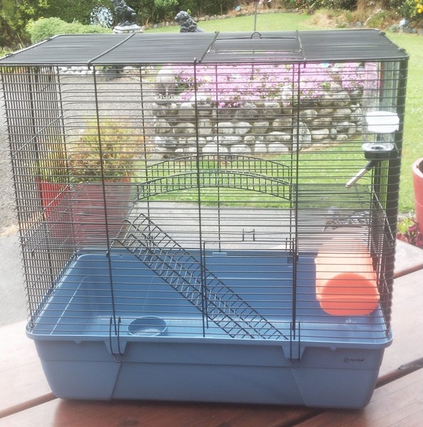 RAT CAGE Carousel 1