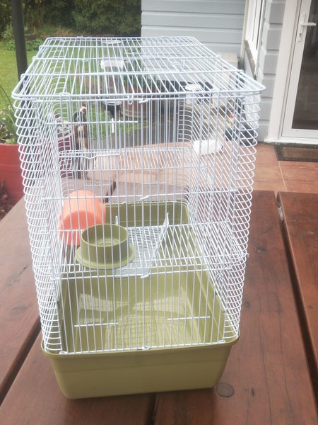 RAT CAGE Carousel 5