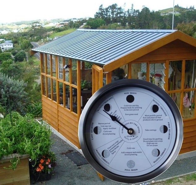 NZ Plant by the Moon Clock 205mm.Unique to NZ.30 day Quartz movement. Carousel 1