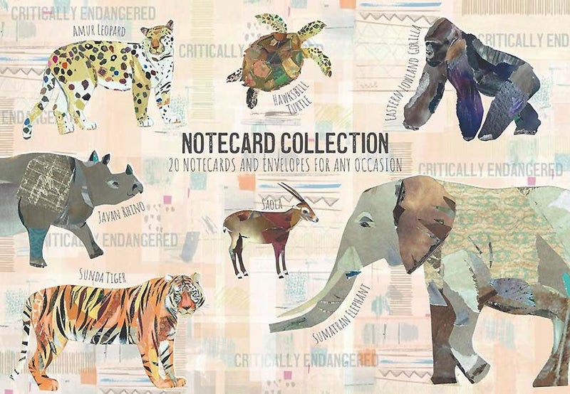 20 Card Collection and Envelopes: ENDANGERED, 4 Designs Carousel 1