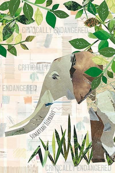 20 Card Collection and Envelopes: ENDANGERED, 4 Designs Carousel 2