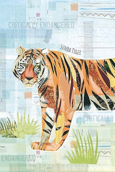 20 Card Collection and Envelopes: ENDANGERED, 4 Designs Carousel 5