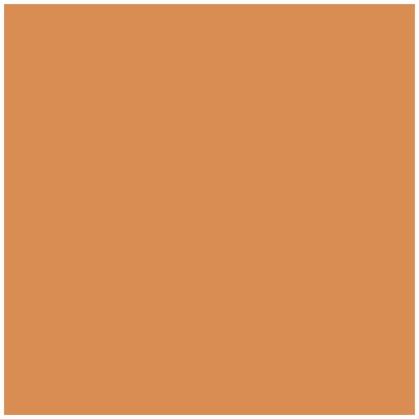 BYS All Day Wear Concealer Face Cosmetic Glam Beauty Argan Oil Natural Beige 6ml Carousel 2