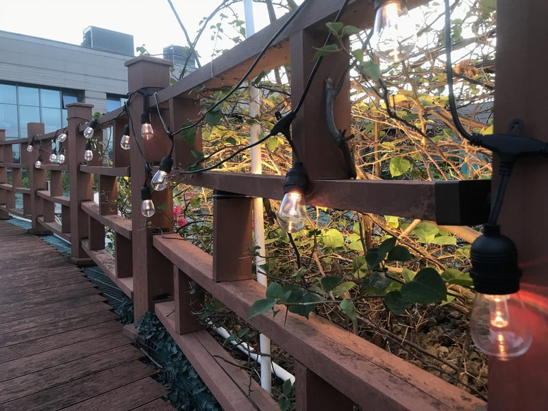 Solar Party/festoon lights15 Metres of R/C, multi coloured Carousel 2