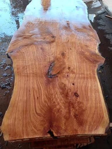 Macrocarpa slabs Carousel 1