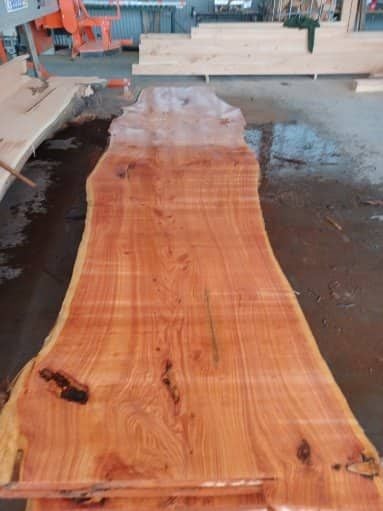 Macrocarpa slabs Carousel 9
