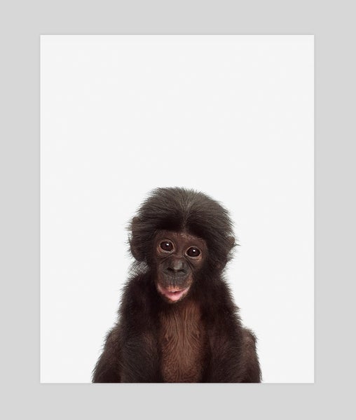 Baby Monkey Art Print - A4 Carousel 1
