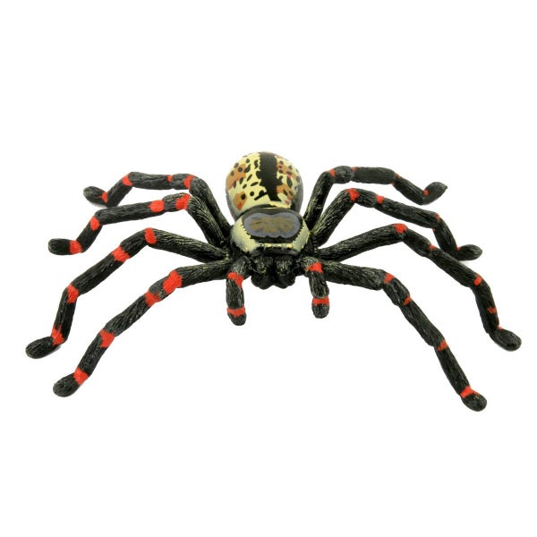 Science and Nature Huntsman Carousel 1