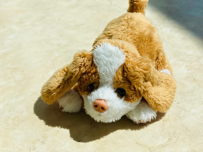 Hasbro Furreal friends small puppy dog Carousel 2