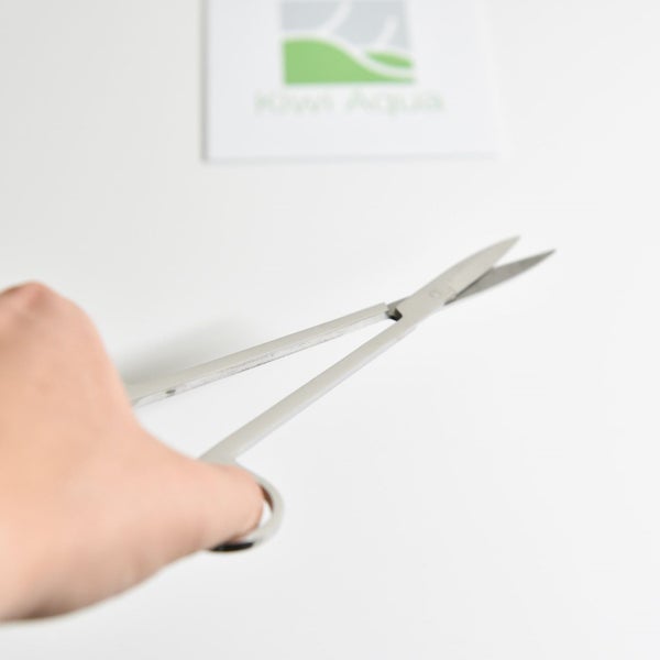 Aquascape Straight Scissors Carousel 2