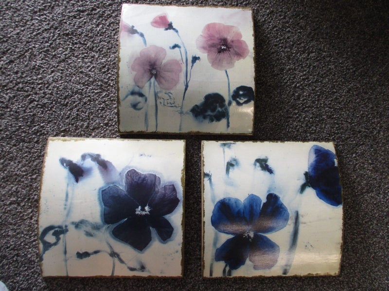 3 lovely flower pictures Carousel 1