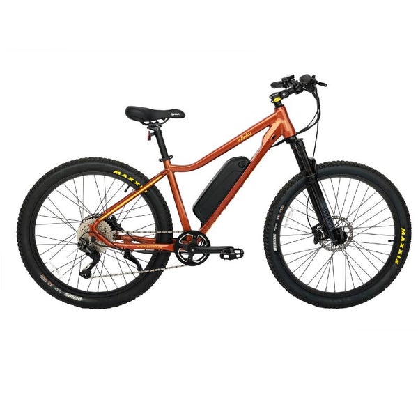 Evinci Infinity - Mountain Bike Carousel 3