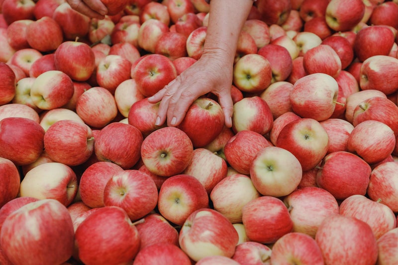 Heartland Fruit Carousel 7