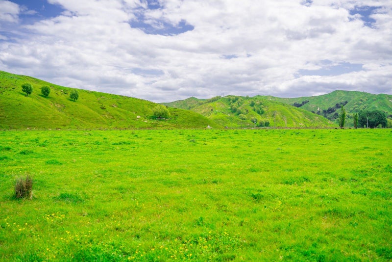 Wairoa Rural properties Trade Me Property