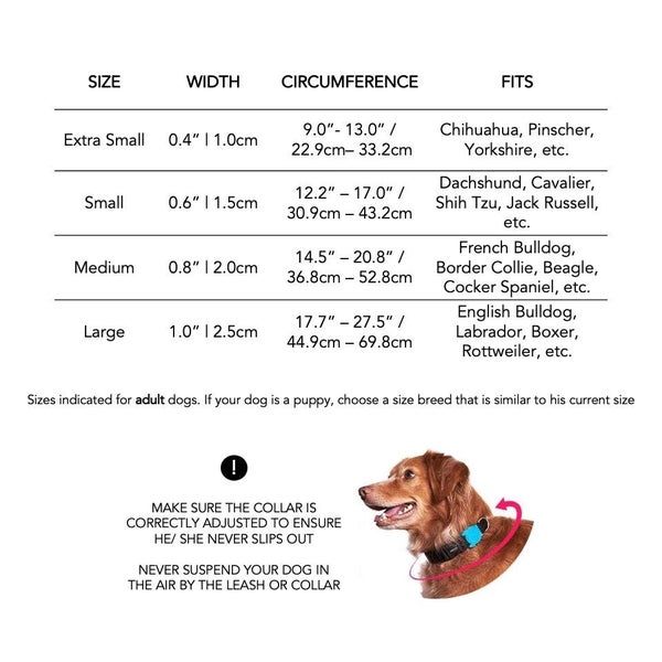ZEE.DOG NEOPRO "LYRA" COLLAR SMALL Carousel 5