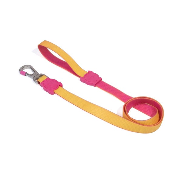ZEE.DOG LEASH - NEOPRO "LYRA" LARGE Carousel 1