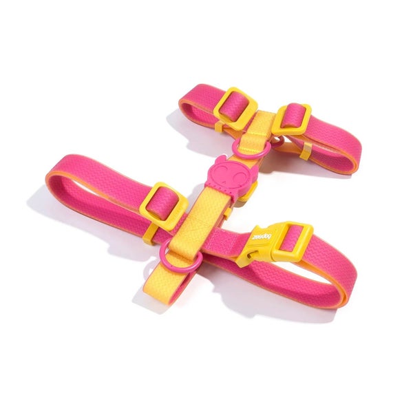 ZEE.DOG H HARNESS - NEOPRO LYRA SMALL! Carousel 2