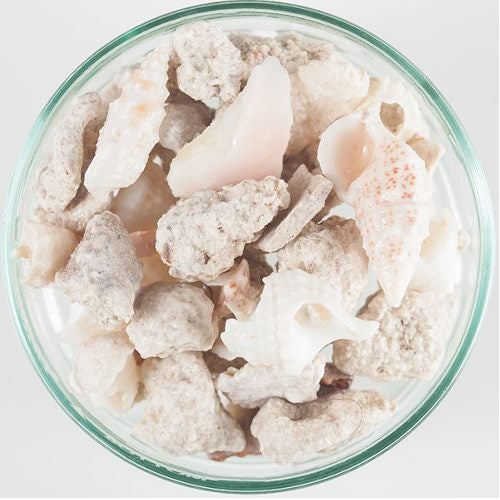 CaribSea Aruba Puka Shell 8kg Carousel 2