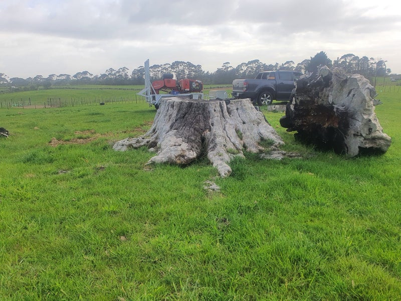 Apex Stump-grinding, local and affordable Carousel 2