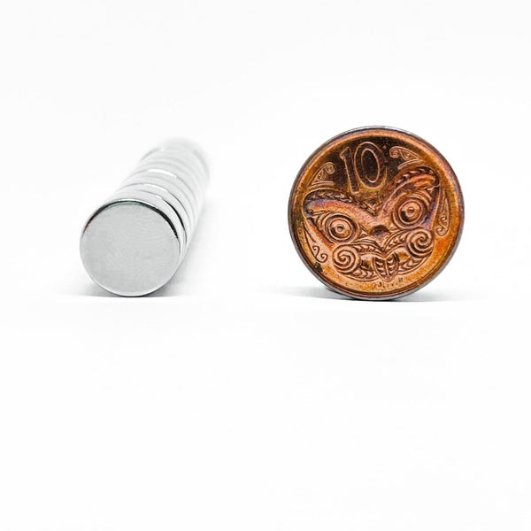 12mm Dia x 6mm | Pack of 12 Carousel 8