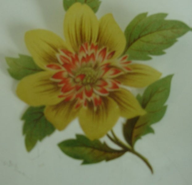 Chance Glass Two Mid Century Plates Carousel 2