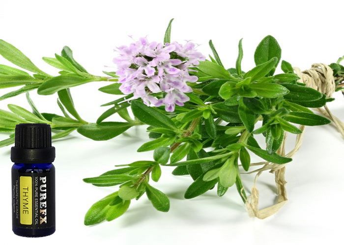 Thyme (white) 25ml / 100% pure essential oil Carousel 1
