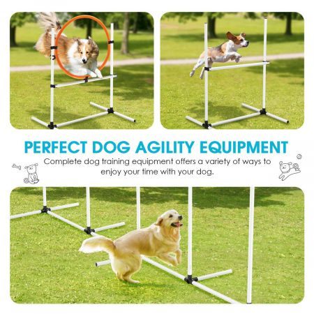 Dog Agility Training Exercise Equipment Set Carousel 1