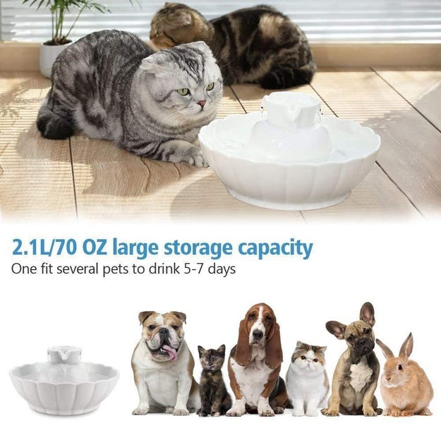 Cat Drinking Water Fountain Electric - New Carousel 2