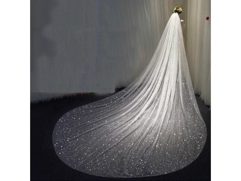 Bridal Veil Sparkly White Champagne Long Cathedral Glitters 1 Tier 350cm Carousel 2