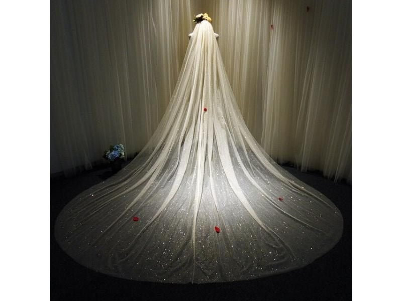 Bridal Veil Sparkly White Champagne Long Cathedral Glitters 1 Tier 350cm Carousel 1