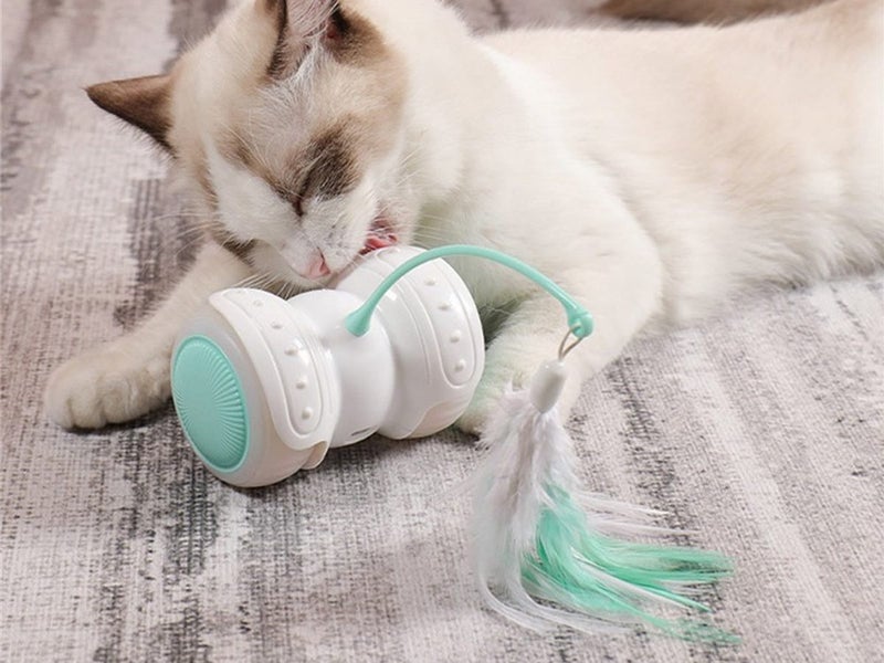 Interactive Pet Kitten Toys NZ Clearance Carousel 2