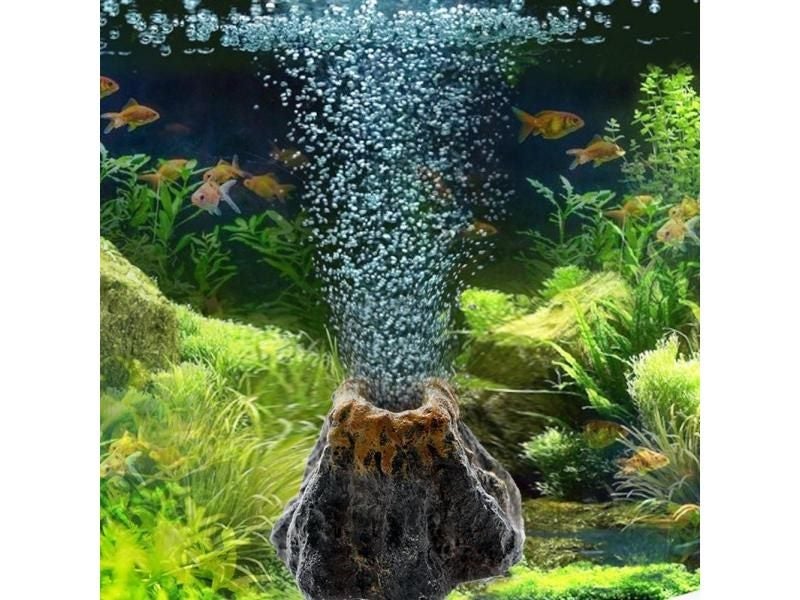 Fish Tank Accessories Carousel 1