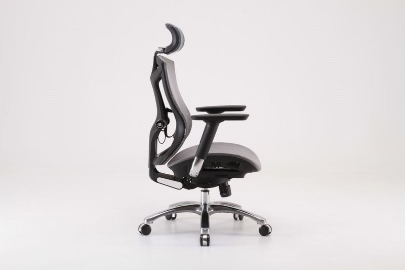 Sihoo V1 Ergonomic Office Chair (Gray) Carousel 1
