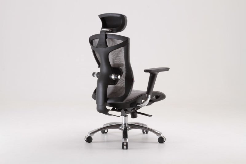 Sihoo V1 Ergonomic Office Chair (Gray) Carousel 20