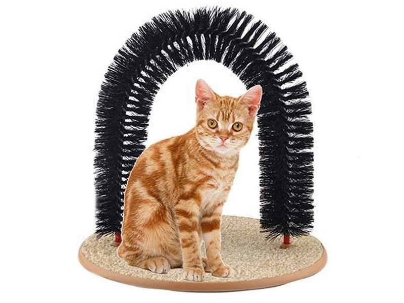 PTN NEW Cat Scratching Toy Sale Sale Carousel 10