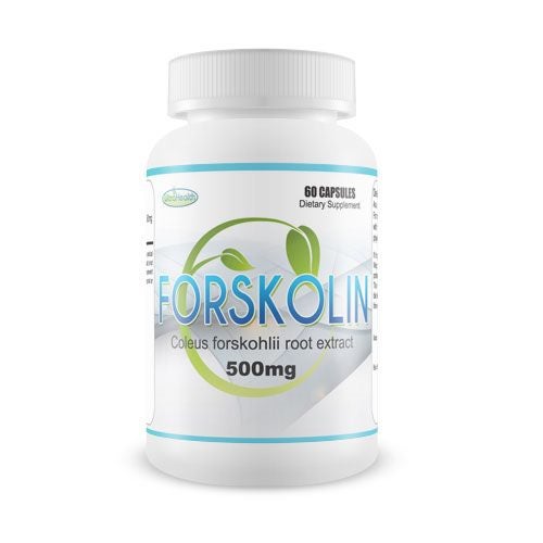 FORSKOLIN - Coleus forskohlii extract629710206862091118