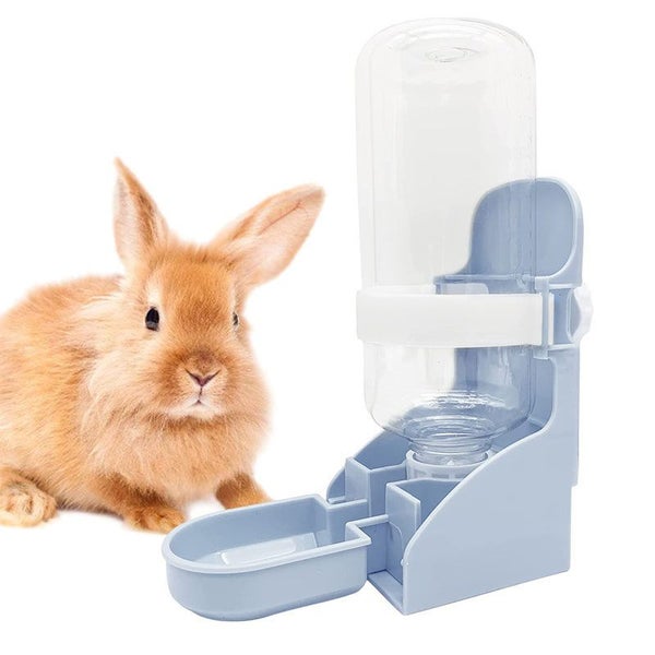 Rabbit Water Bottle Automatic WaterFeeder -Blue Carousel 1