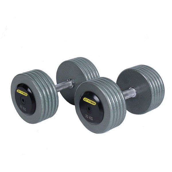 Metal pro style discount dumbbells