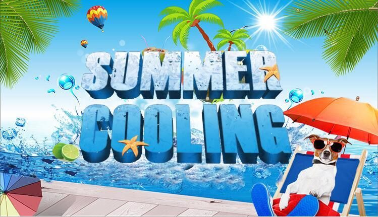 Pet Cooling Mat (OVER STOCKED) Carousel 2