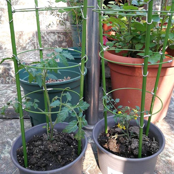 Garden Plant Support Cage Rings Tomato Cages 3 Rings Climbing Plant Sup Carousel 2