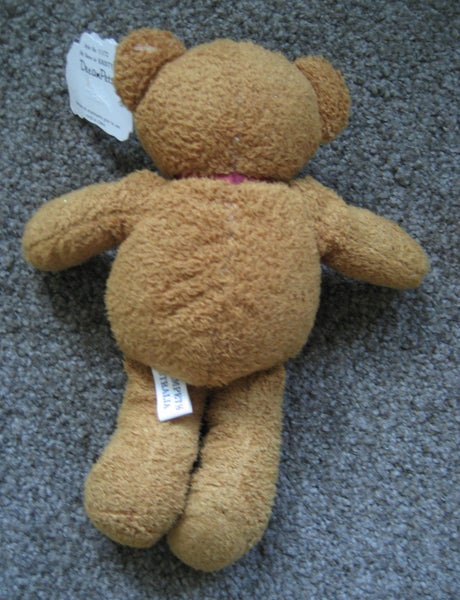 NEW TEDDY BEAR - Dream Pets Carousel 2