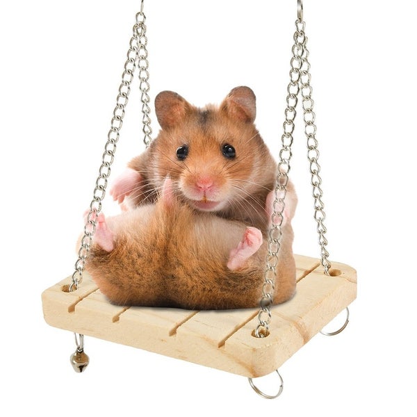10pcs Natural Wooden Hamster Toys Set Guinea Pig Toy Rabbit Rat Chinchi Carousel 2