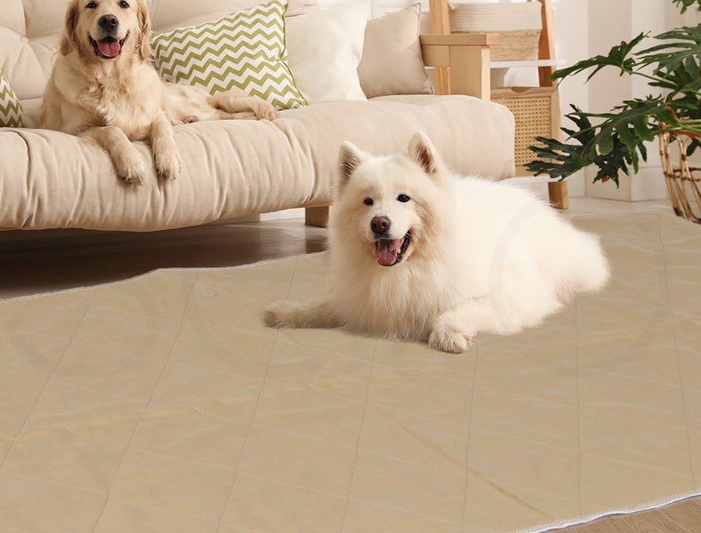 Pawz 2 Pcs 90x90 cm Reusable Waterproof Pet Puppy Toilet Training Pads XXL Carousel 10