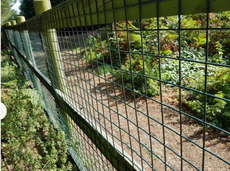 PTN 1.2x30m PVC Wire Mesh Garden Fencing Holes Netting Coated Fence Support Net Carousel 2