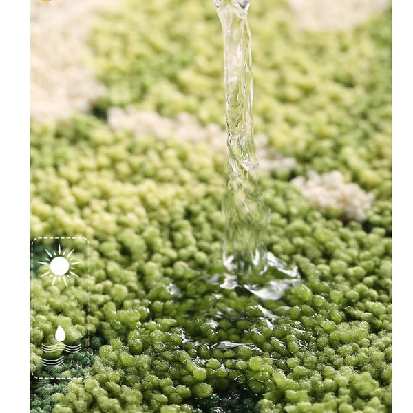 Polyester Bathroom Rugs Water Absorbent Shower Mat Quick Dry Machine Washable Carousel 2