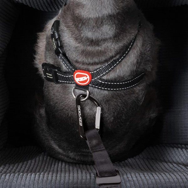 EZYDOG CAR BOOSTER SEAT CHARCOAL Carousel 2