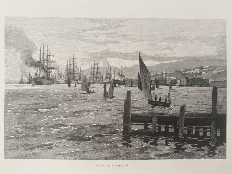 OLD DRAWING: Wellington Harbour Carousel 2