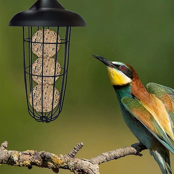 Outdoor Bird Feeder, Wild Bird Feeder, Hanging Ball Bird Feeder, Bird Feeder, Fo Carousel 2