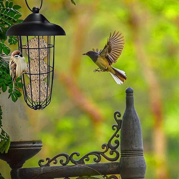 Outdoor Bird Feeder, Wild Bird Feeder, Hanging Ball Bird Feeder, Bird Feeder, Fo Carousel 4