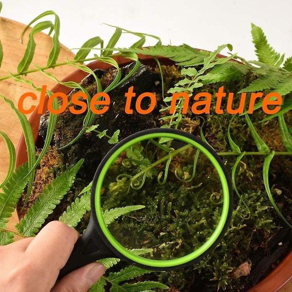 (2 Pcs) 10x Magnifying Glass, Handheld Reading Magnifier, 75mm Magnify Glasses L Carousel 5